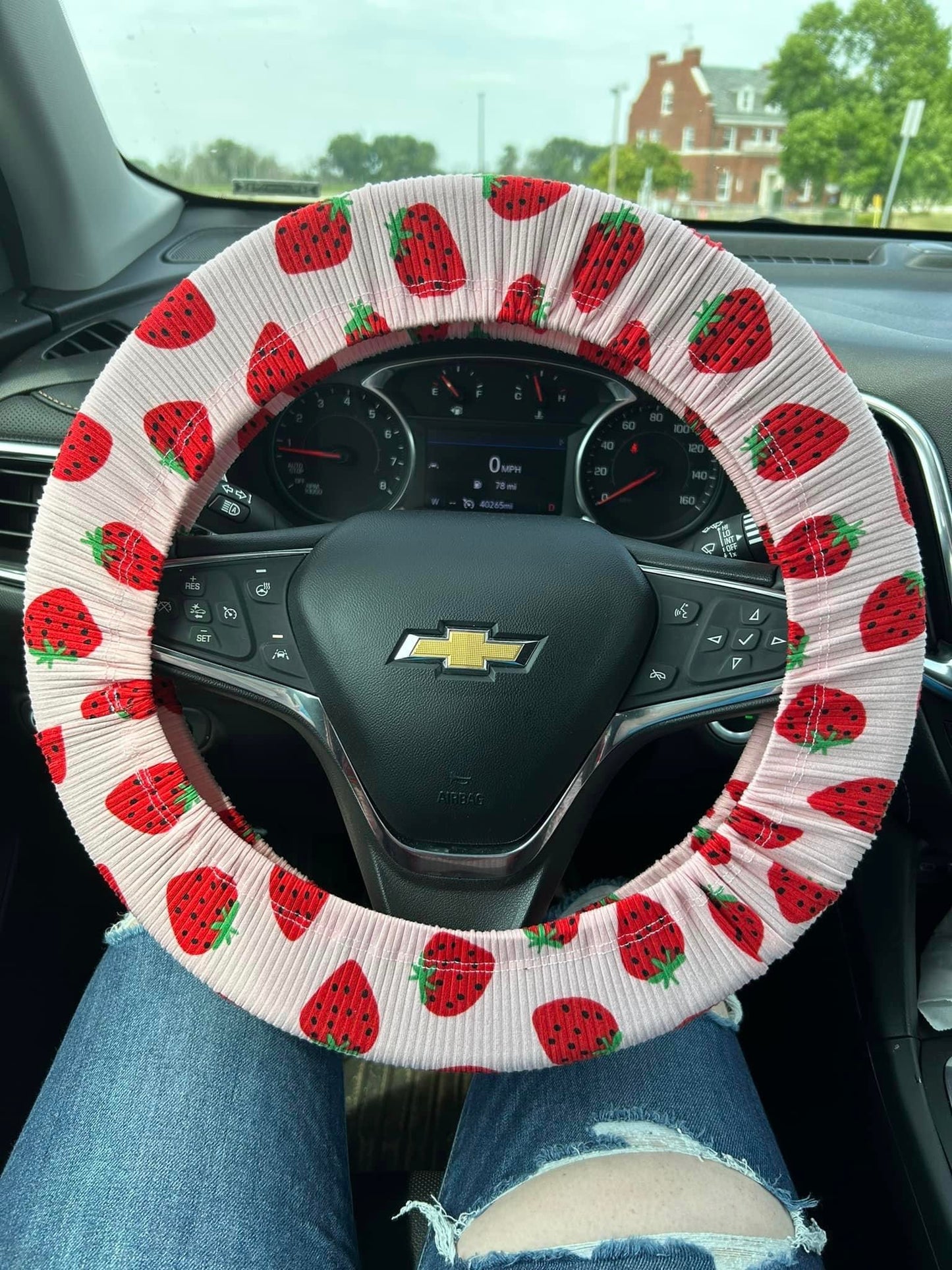 Mystery Steering Wheel Cover + Wristlet